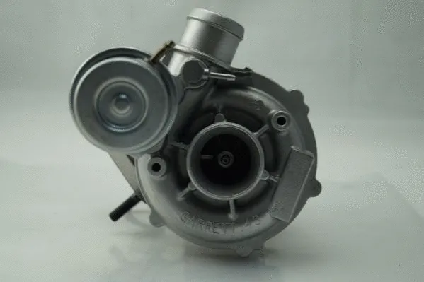 Charger, charging (supercharged/turbocharged) (5110113N)