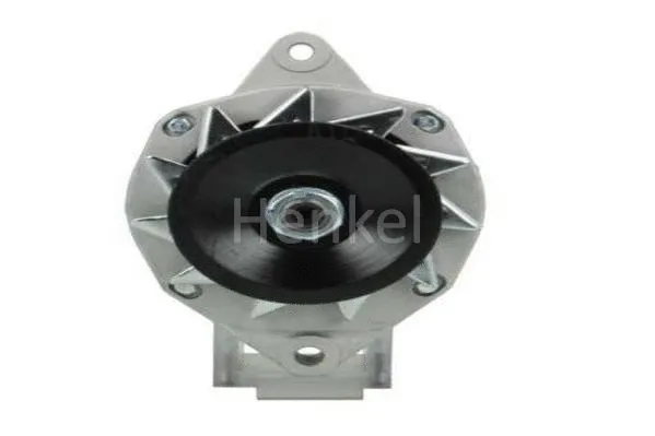 Alternator (3125105)