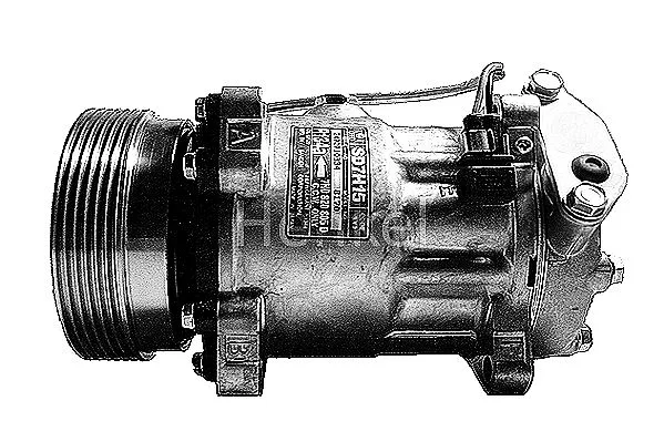 Compressor, air conditioning (7110775R)