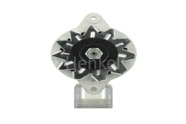 Alternator (3113011)