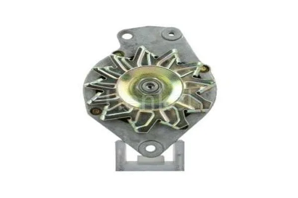 Alternator (3117102)