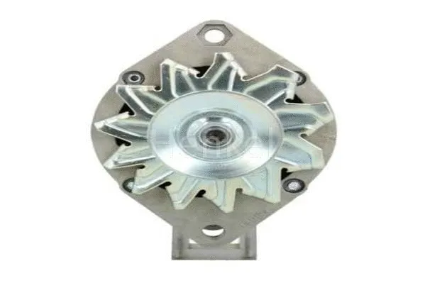 Alternator (3110081)