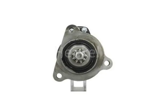Starter (3120284)