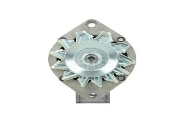 Alternator (3119423)