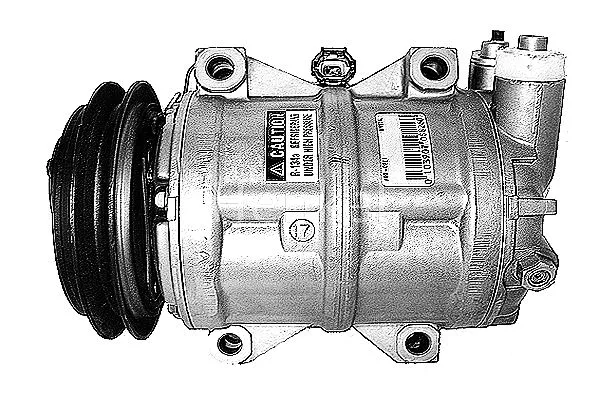 Compressor, air conditioning (7110684R)