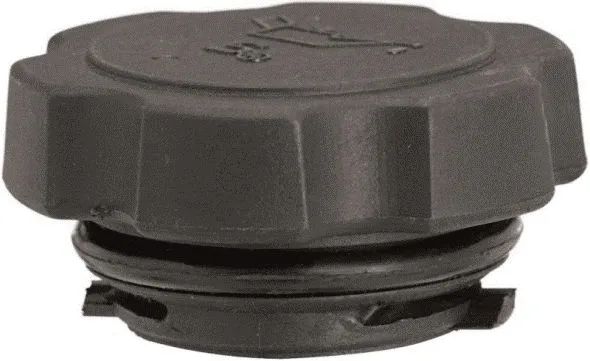 Sealing Cap, oil filler neck (31291)