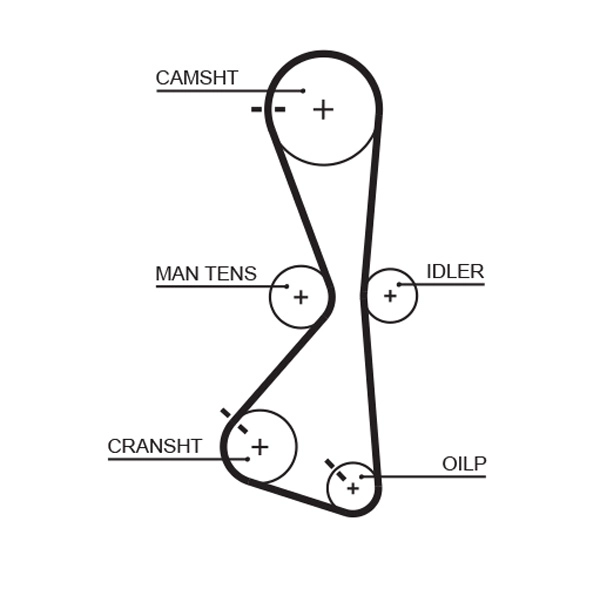 Timing Belt (T332)