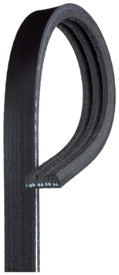V-Ribbed Belt (K030267)