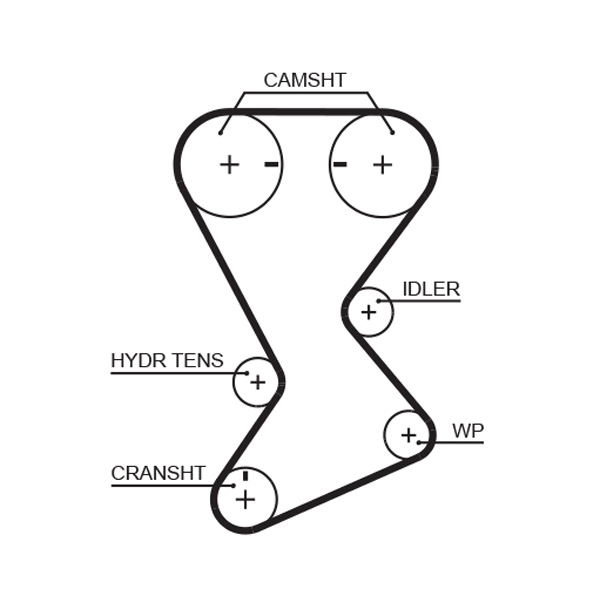 Timing Belt (T246)