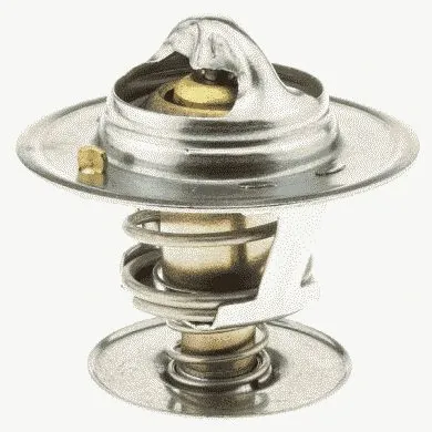 Thermostat, coolant (33339)