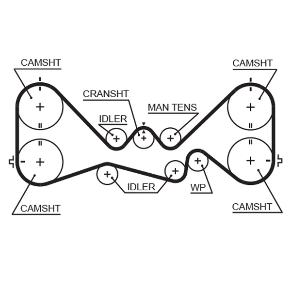 Timing Belt (T277)