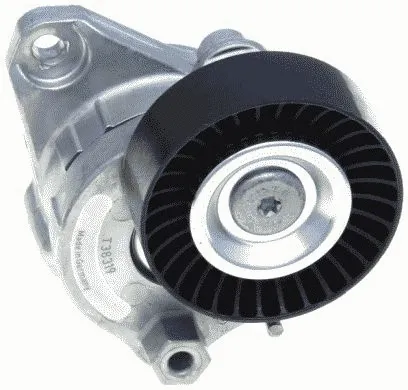 Belt Tensioner, V-ribbed belt (38319)