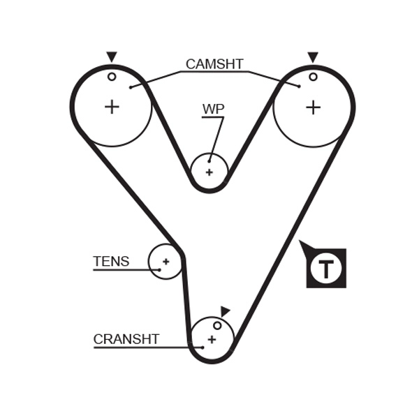 Timing Belt (T139)