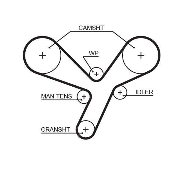 Timing Belt (T320)