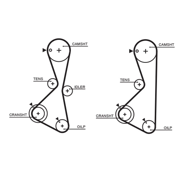Timing Belt (T232)