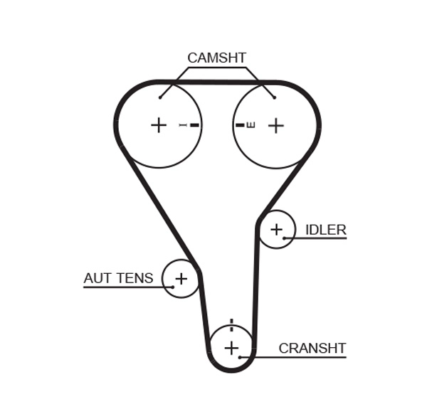 Timing Belt (T228)