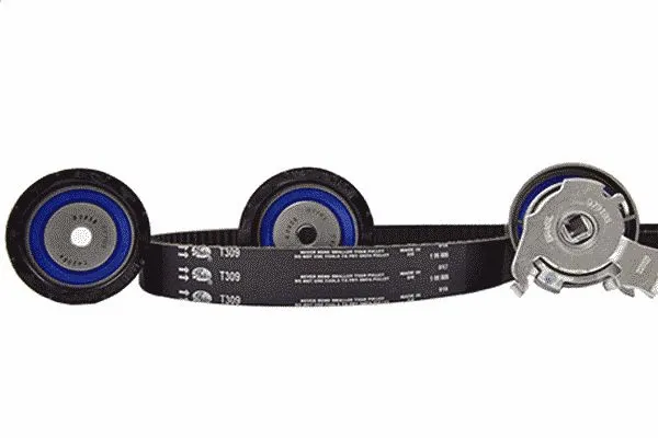Timing Belt Kit (TCK309M)