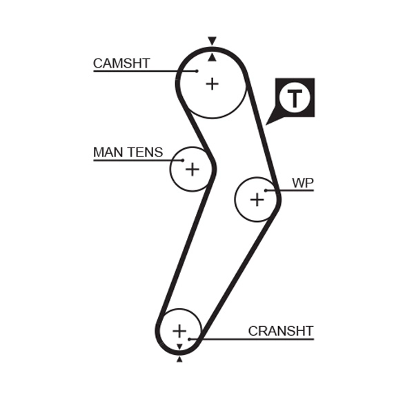 Timing Belt (T1089)