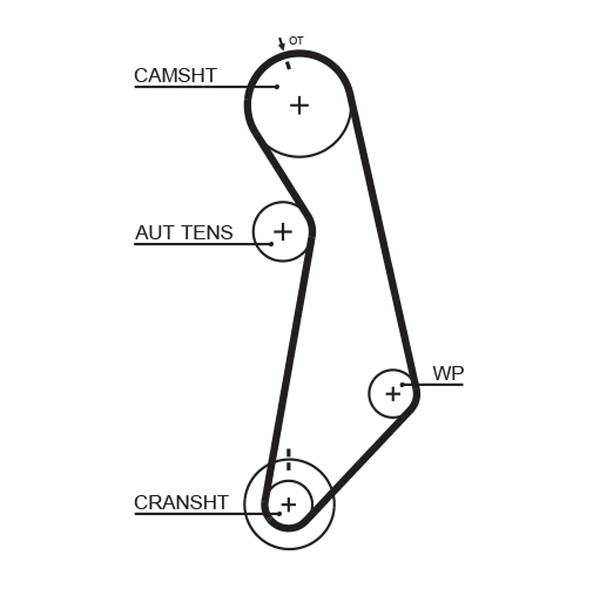 Timing Belt (T296)