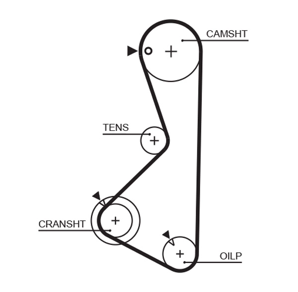 Timing Belt (T089)