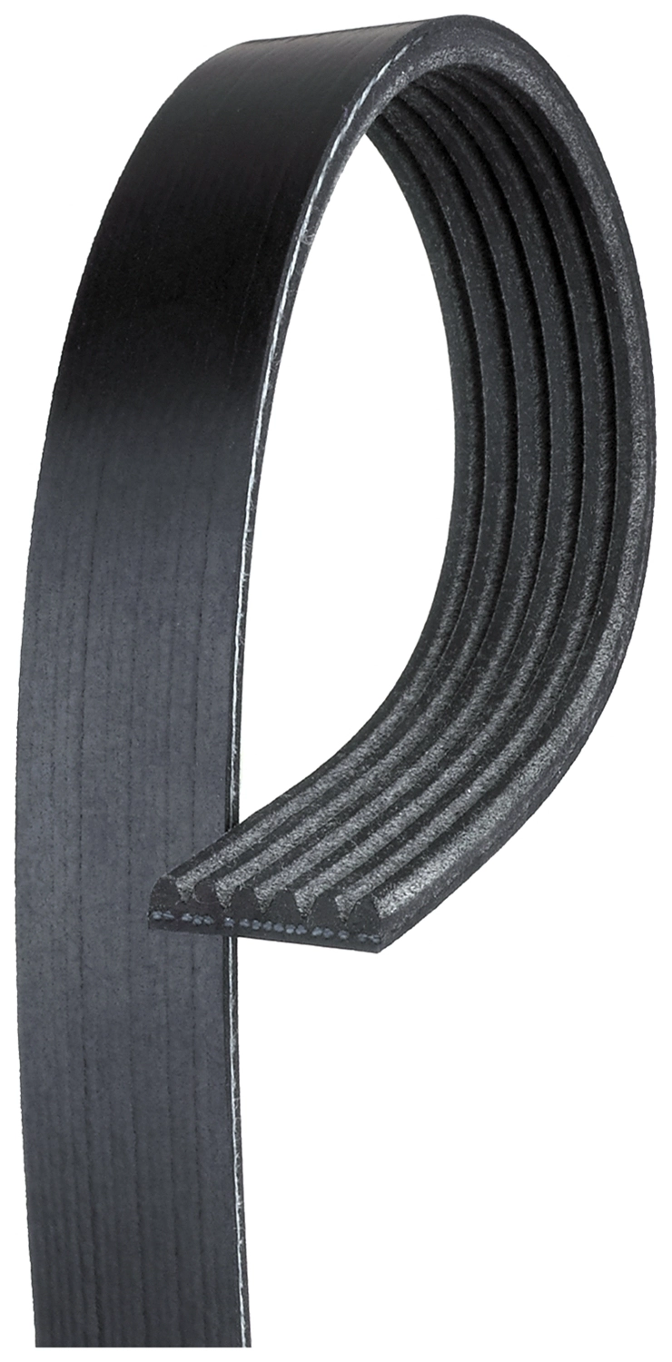 V-Ribbed Belt (K060480)