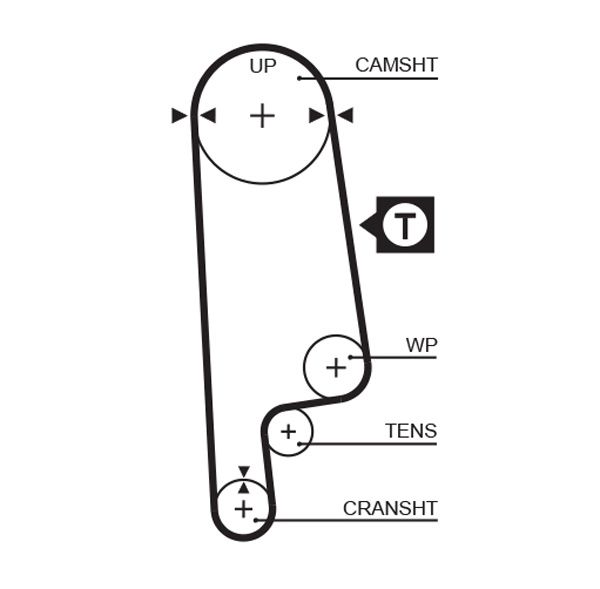 Timing Belt (T143)