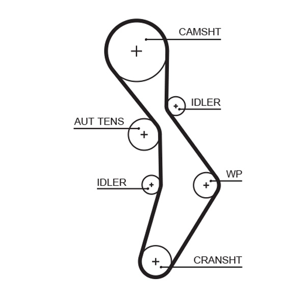 Timing Belt (T334)