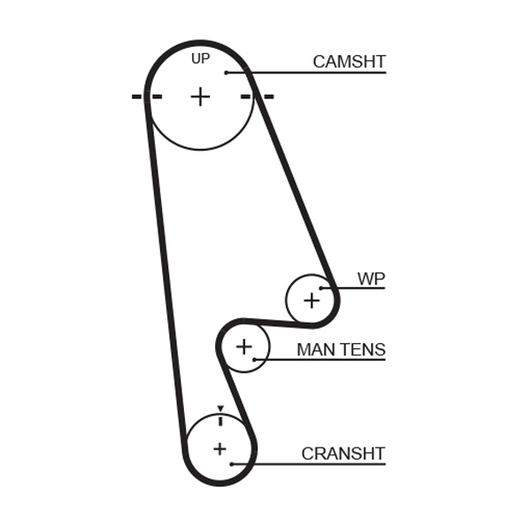 Timing Belt (T244)