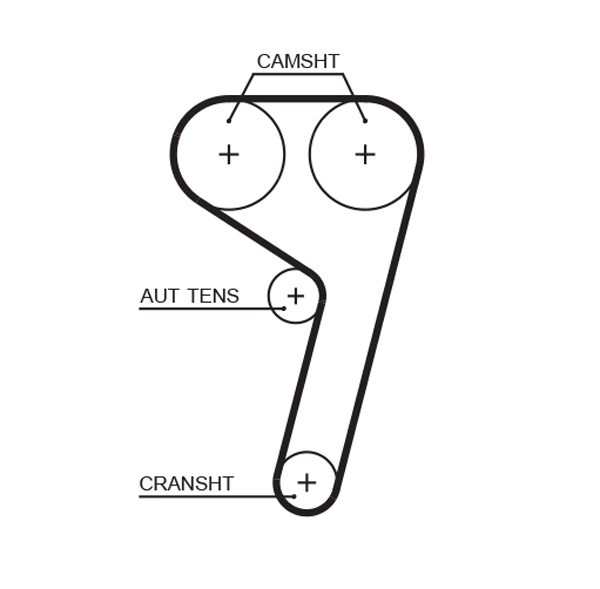 Timing Belt (T343)