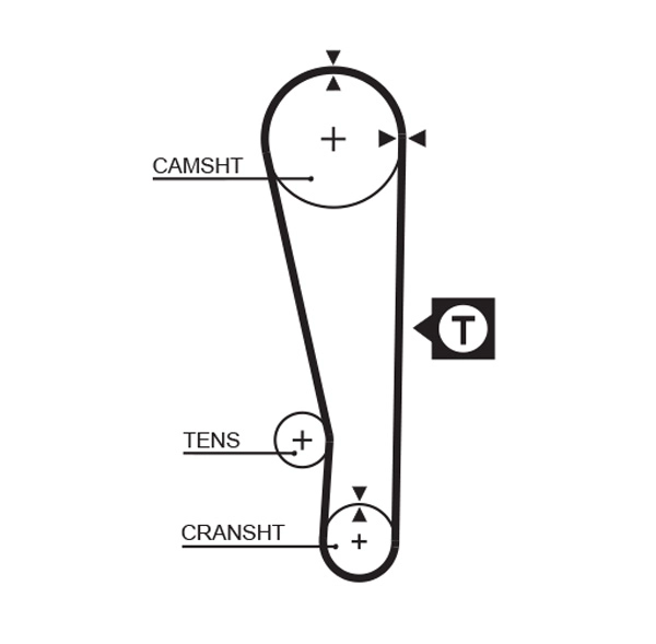 Timing Belt (T185)