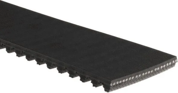 Timing Belt