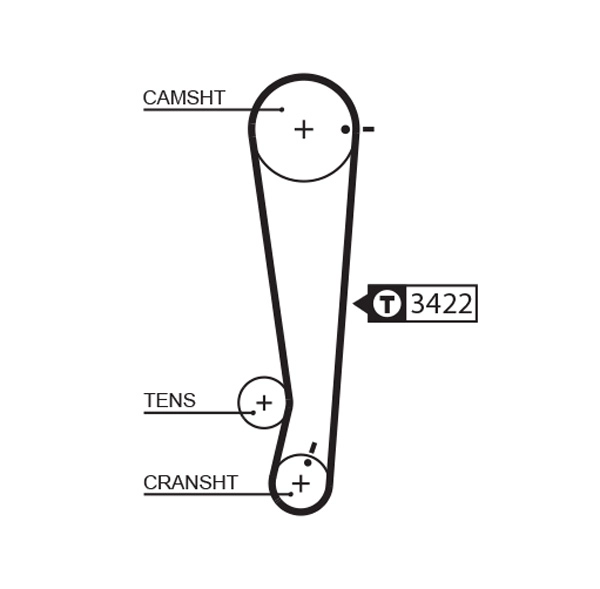 Timing Belt (T1013)