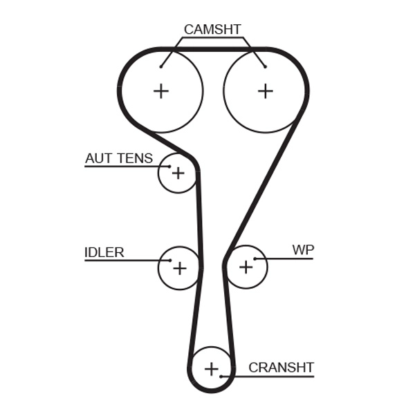 Timing Belt (T1565)