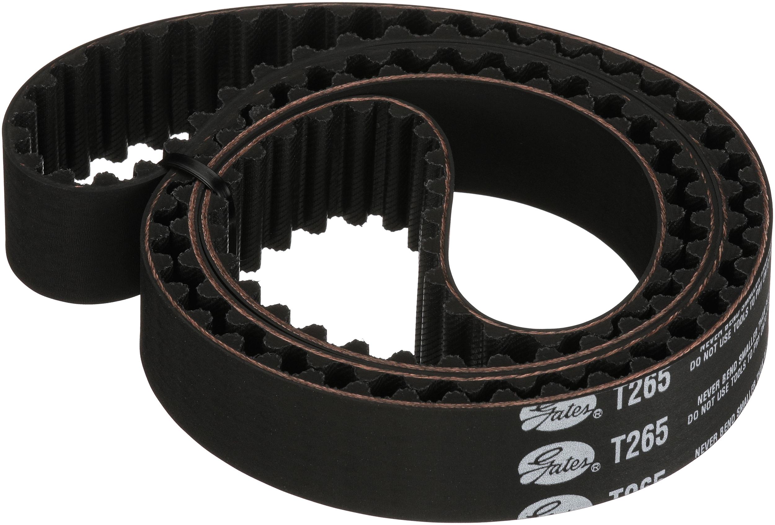 Timing Belt