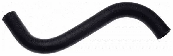 Radiator Hose (20795)