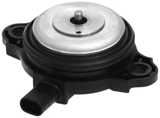 Central Magnet, camshaft adjustment (VVS225)