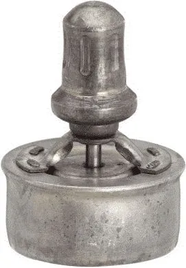 Thermostat, coolant (33108)