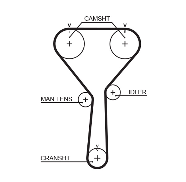 Timing Belt (T302)