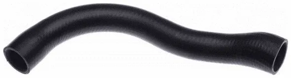 Radiator Hose (22636)