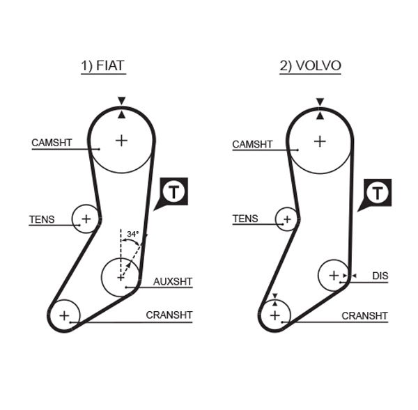 Timing Belt (T032)