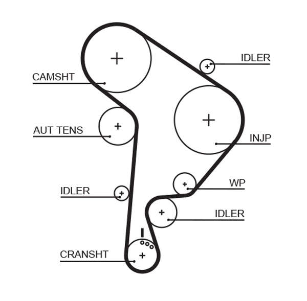 Timing Belt (T321)