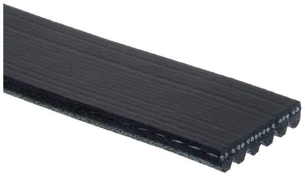 V-Ribbed Belt