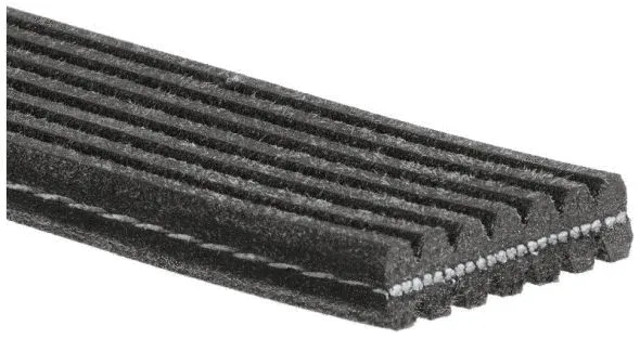 V-Ribbed Belt