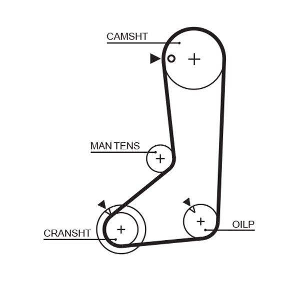 Timing Belt (T124)
