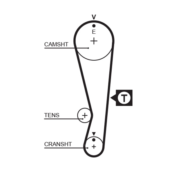 Timing Belt (T212)