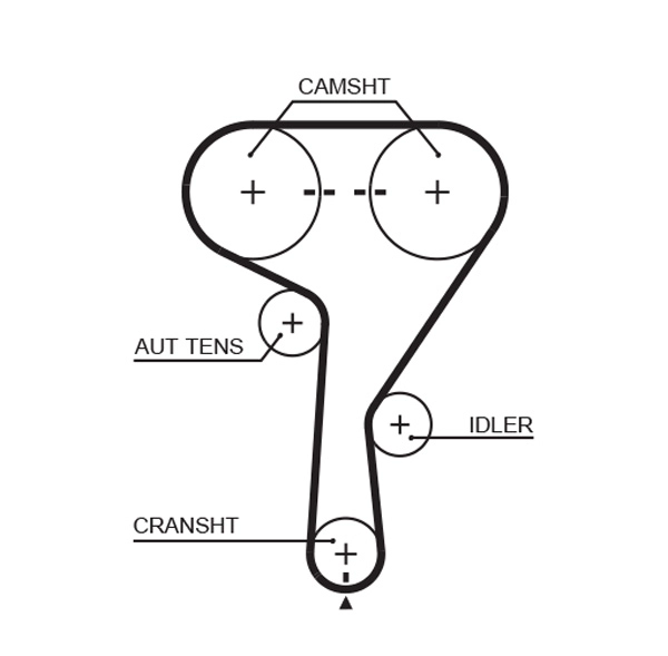 Timing Belt (T338)