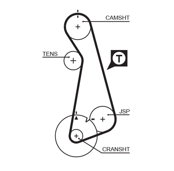 Timing Belt