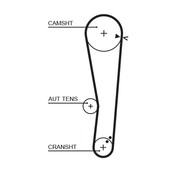Timing Belt (T324)