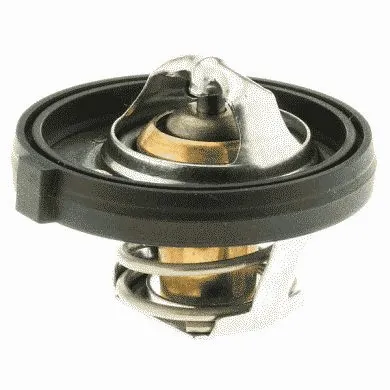 Thermostat, coolant (33849)