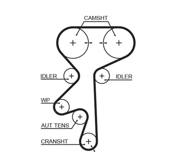 Timing Belt (T1094)